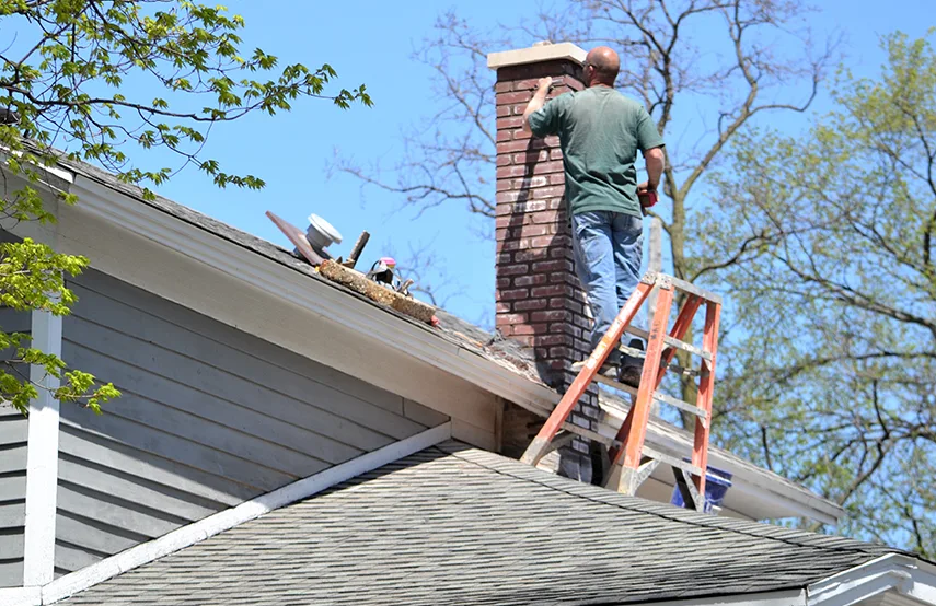 Chimney & Fireplace Inspections Services in Greenwood, MS